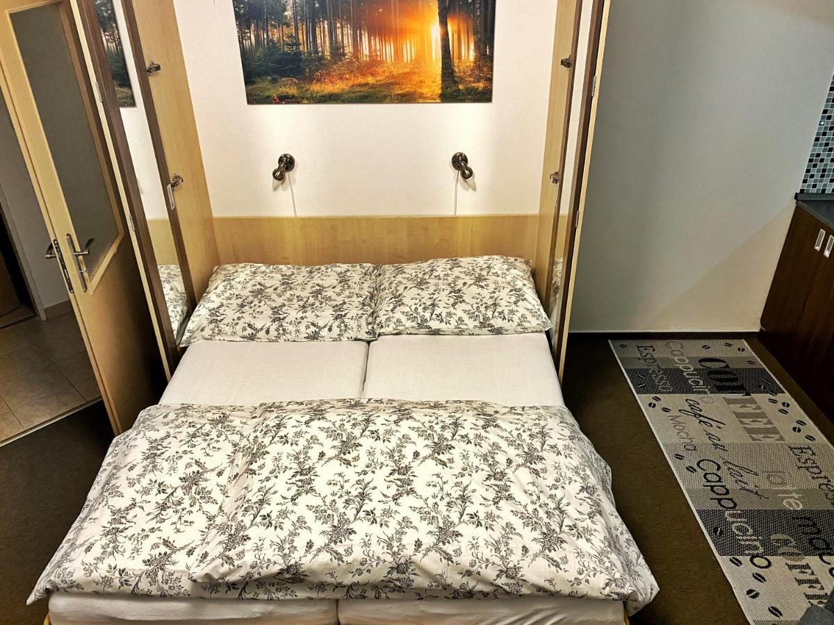 Apartman Modra Hvezda Rokytnice nad Jizerou Buitenkant foto