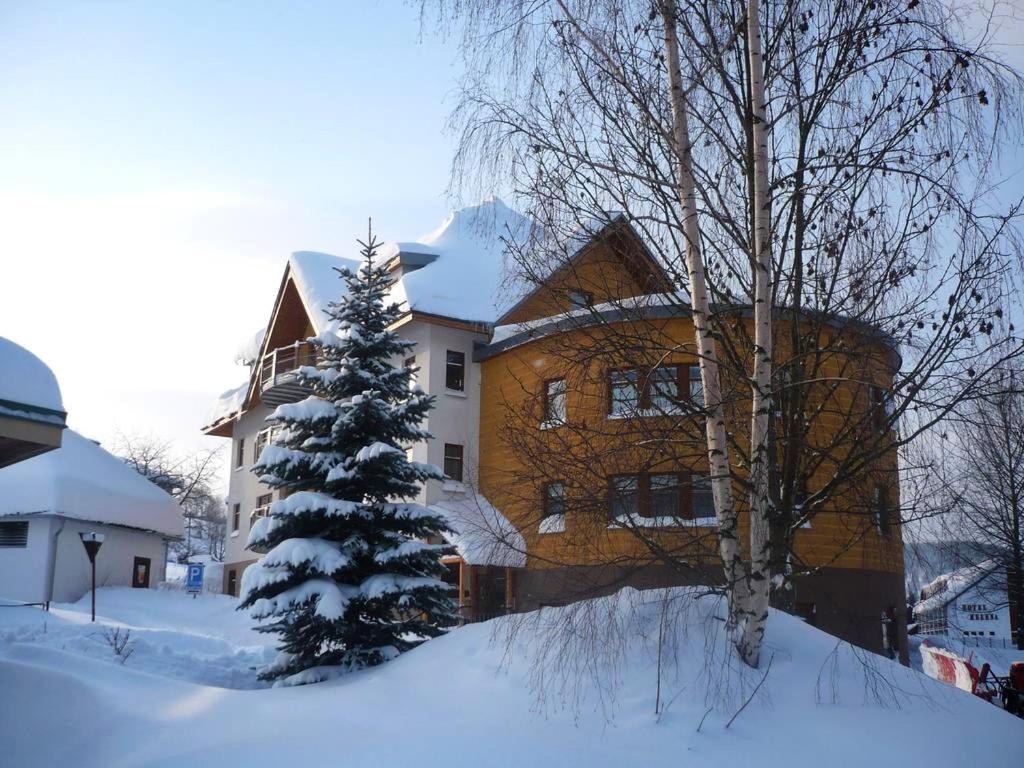 Apartman Modra Hvezda Rokytnice nad Jizerou Buitenkant foto