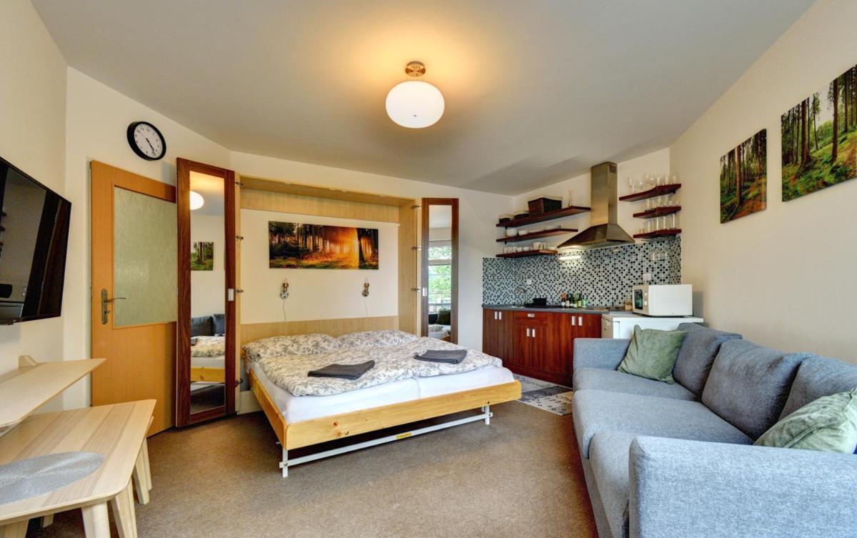 Apartman Modra Hvezda Rokytnice nad Jizerou Buitenkant foto